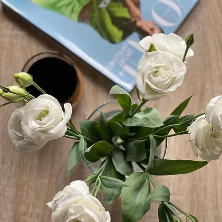 Mokotow アパート *